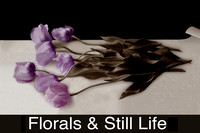 Florals and Still Lifes